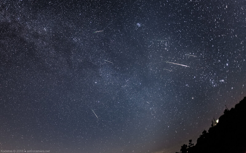 Night sky filled with stars and multiple meteor streaks above a dark forested silhouette.