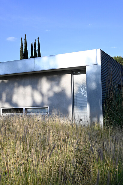 Modern white cubic house with dark louvered side panel and cypress trees, surrounded by tall golden grasses in bright daylight.