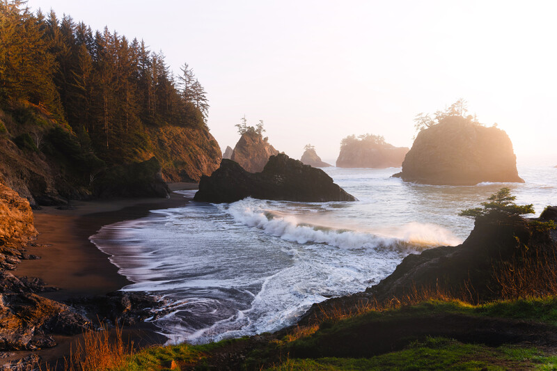 Rocky sea stacks and forested cliffs along a sandy beach at golden hour with waves washing ashore.