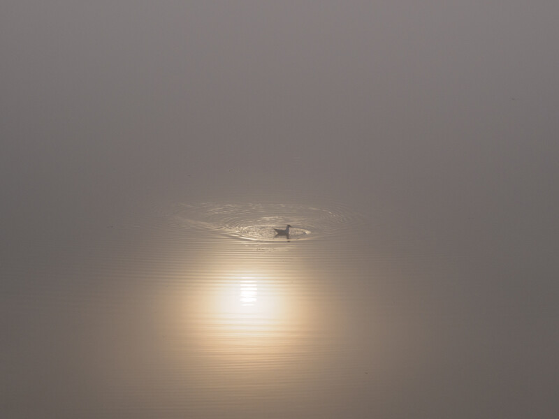 Small aircraft silhouetted against a bright sun obscured by hazy atmospheric conditions.