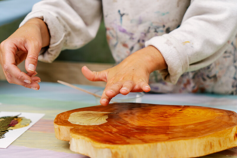Child's hands touching a cross-section of wood with concentric rings and golden-brown tones.