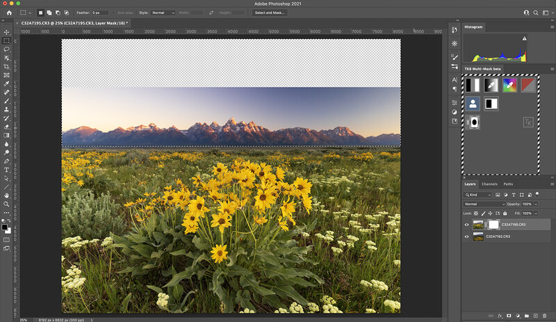 Wildflower meadow with yellow blooms in foreground and mountain range under blue sky in background.