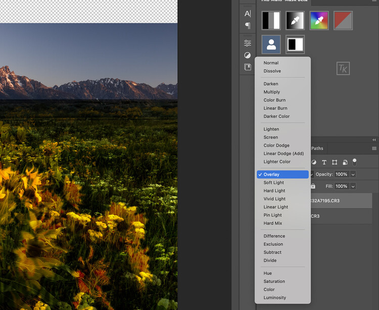 Screenshot of photo editing software showing a mountain landscape with wildflower meadow and adjustment layers panel.