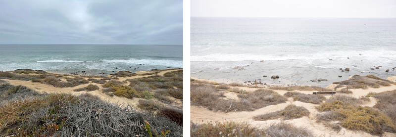 Diptych comparing coastal dune landscapes with sparse vegetation and ocean views under different lighting conditions.