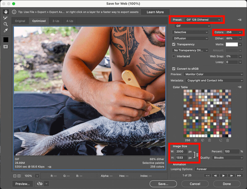 Screenshot of Adobe Lightroom export dialog showing save settings for a TIFF file.