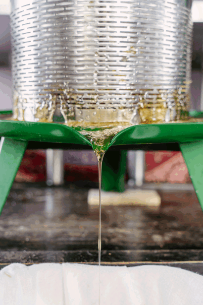 Liquid dripping from a metal can suspended above a green leaf, creating a water droplet against a blurred background.