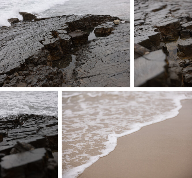 Weathered driftwood and rocks along a sandy beach with white wave foam washing ashore.