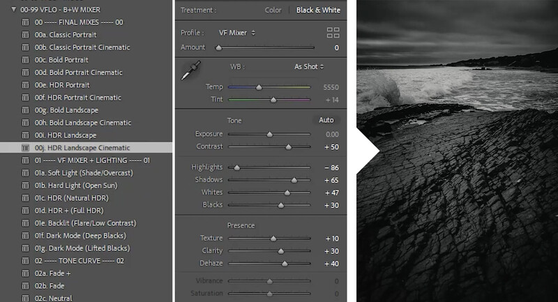 Screenshot of photo editing software showing black and white landscape adjustment panel with preset list and coastal wave image.