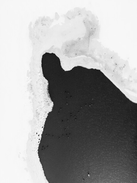 Person's silhouette standing in snow with white powder dusting their dark clothing.