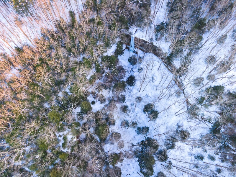Aerial view of a snowy forest with scattered evergreen trees and cleared patches of land.