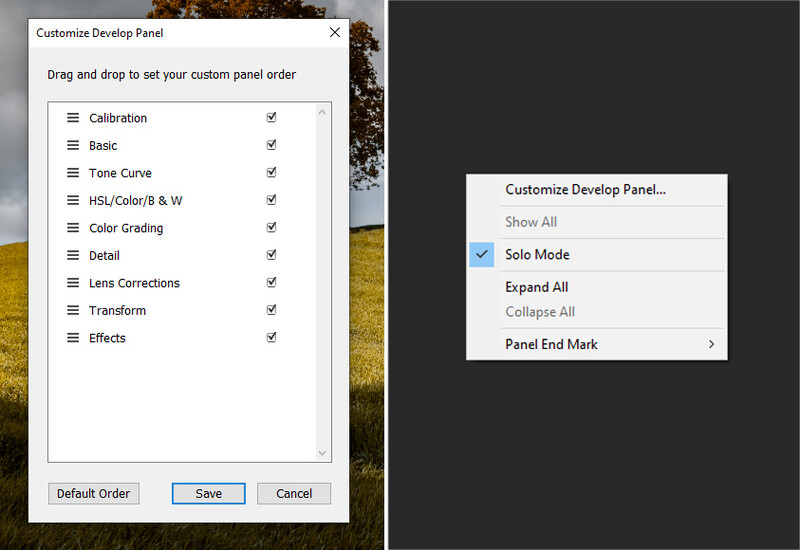 Screenshot of Customize Develop Panel dialog showing draggable list of editing modules with checkboxes and context menu options.
