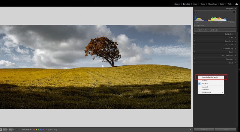 Solitary tree with golden foliage standing on a rolling yellow hillside under dramatic cloudy sky.