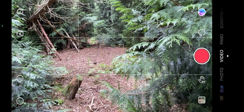 Screenshot of mobile video recording interface showing forest scene with trees and forest floor.