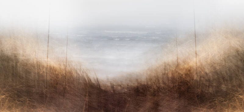 Misty coastal landscape with dried marsh grasses framing still water under overcast sky.