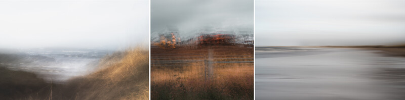 Triptych of misty landscapes with golden grasses and still water under overcast skies.