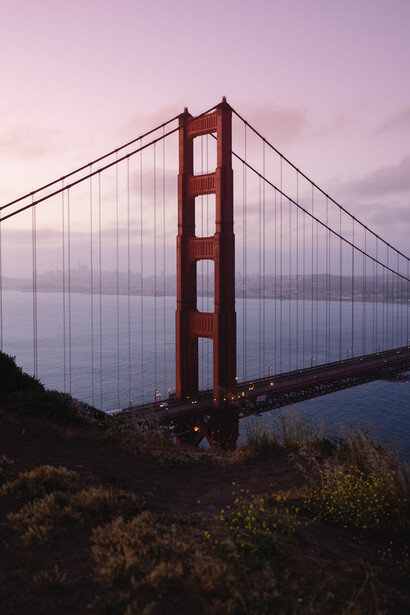 Red suspension bridge photographed at dusk with moody purple sky and foreground vegetation.