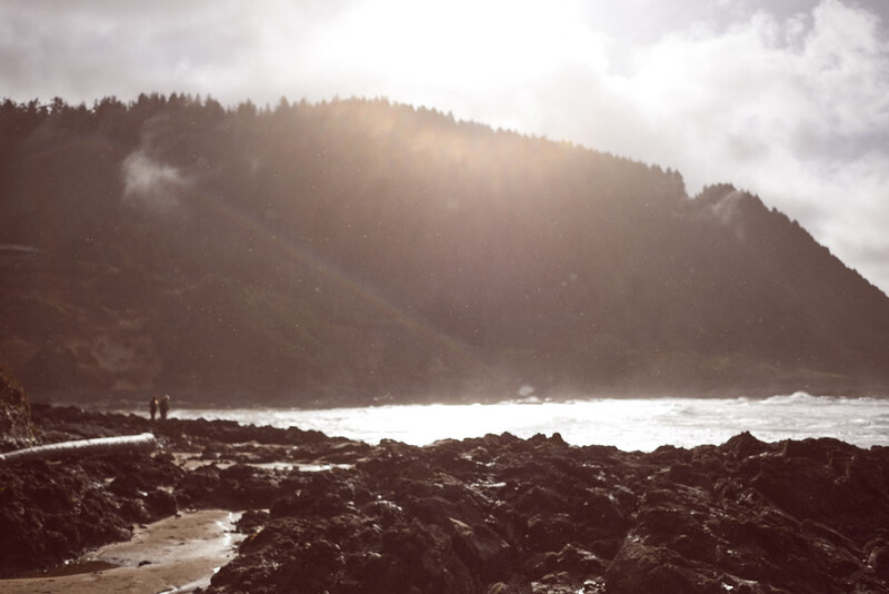 Rocky coastline with forested headland and crashing waves under dramatic cloudy sky with golden sunlight.