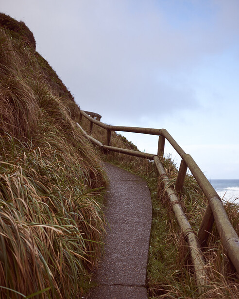 Wooden handrail descending a grassy coastal path toward the ocean.
