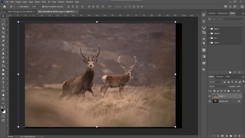 Import images into one layer
