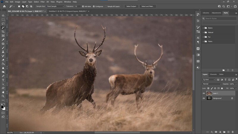 Object selection in Photoshop