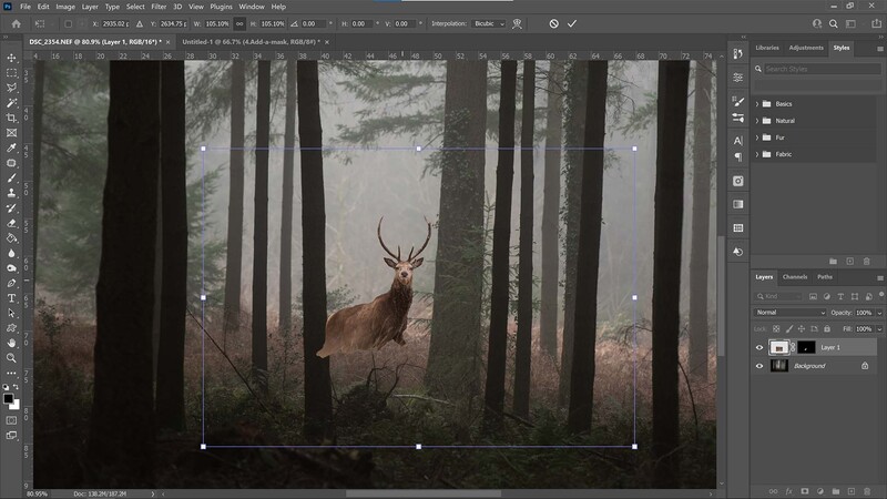 Resize and reposition your subject