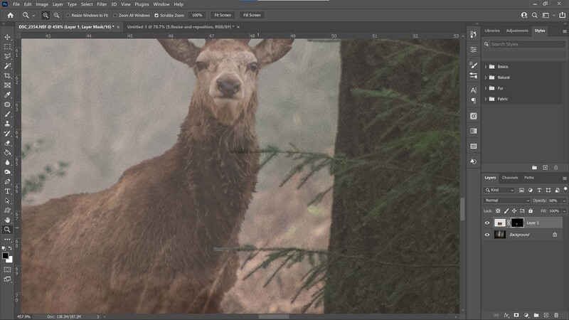 Brush the mask in Photoshop
