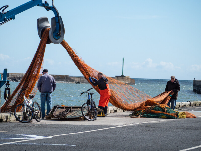 Fishing crew hauling in a large net from a boat at a harbor, with workers positioned along the dock.