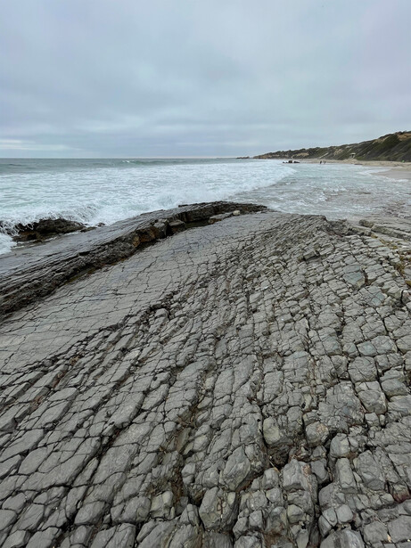 Cracked mudflats texture in foreground with driftwood log and rocky coastline under overcast sky.