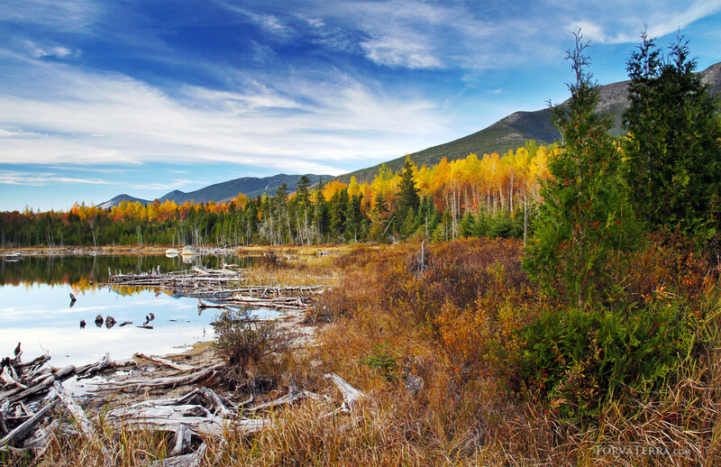 Autumn landscape with golden birch trees reflected in still water, surrounded by evergreens and mountains.