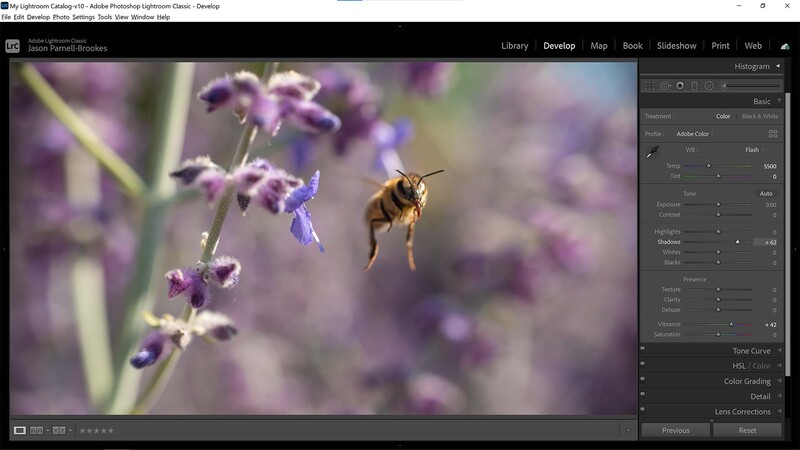 Lift shadows in lightroom