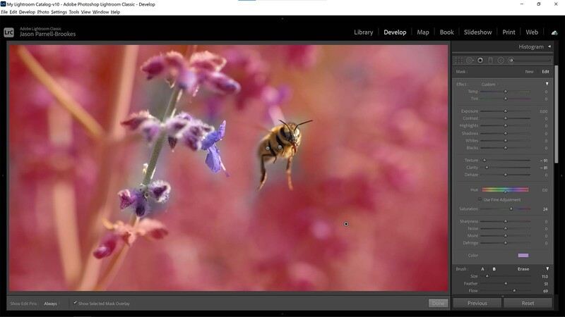 Simplify backdrop with adjustment brush