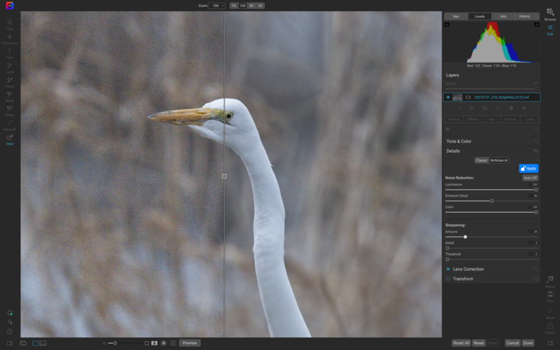 White egret with extended neck and yellow bill against blurred natural background.