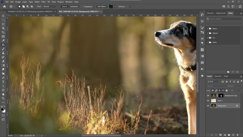 Patch the grass in Photoshop