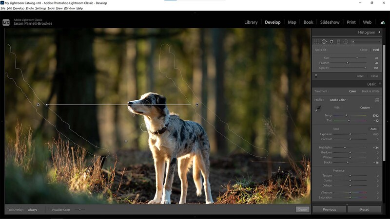 Remove the lead in Lightroom