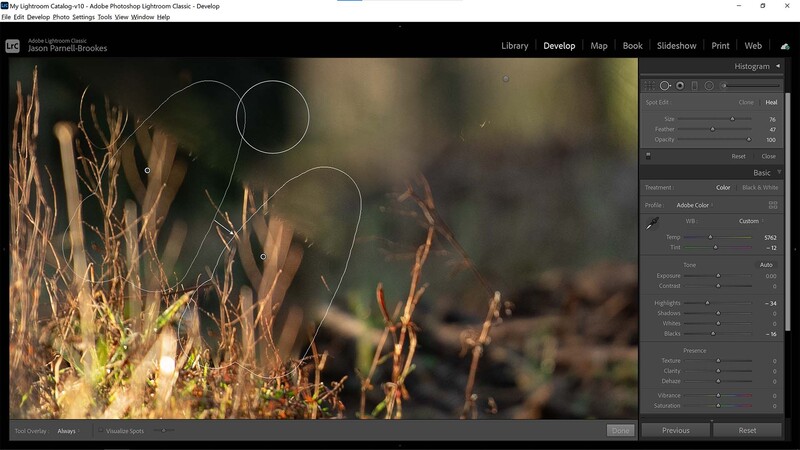 Patch things up in Lightroom