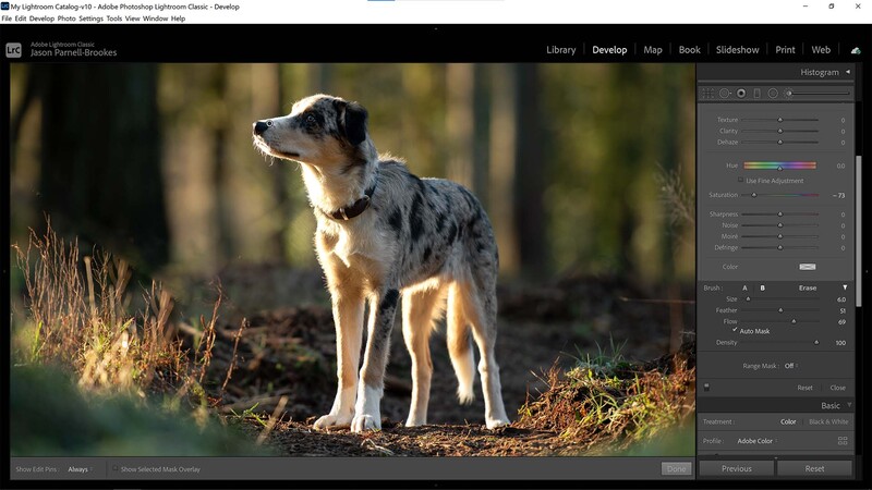 Desaturate shadows in lightroom