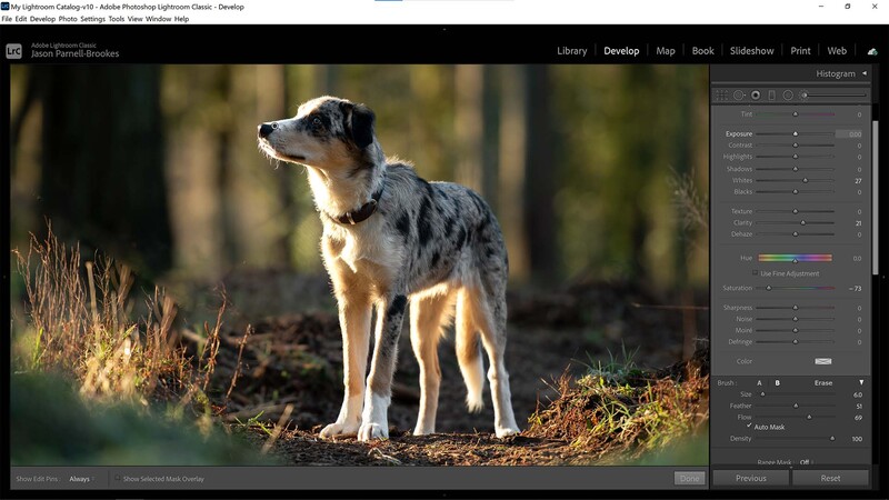 Enhance fur texture in lightroom