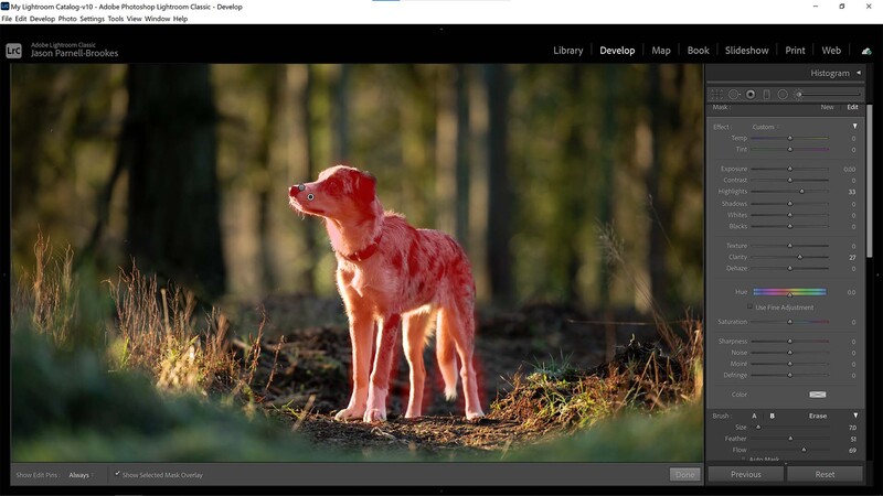 Enhance fur texture on dog