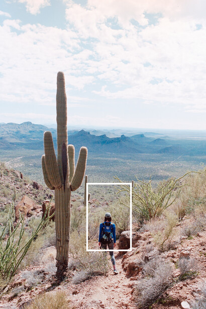 Saguaro cactus with a person standing in a white frame cutout, desert landscape and mountains in background.