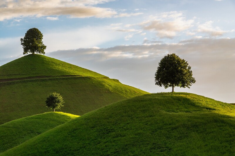 Three solitary trees on rolling green hills beneath a partly cloudy sky.