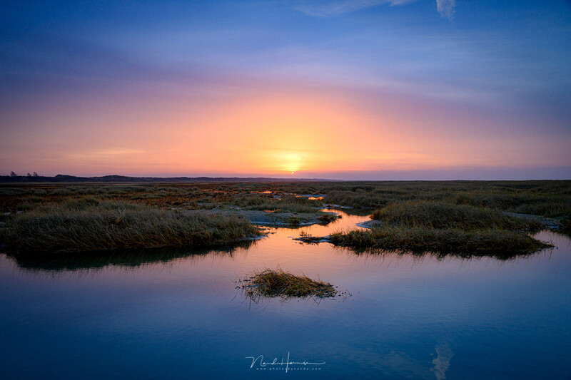 Wetland landscape at sunset with calm water reflecting golden-orange sky and distant marshy shoreline.