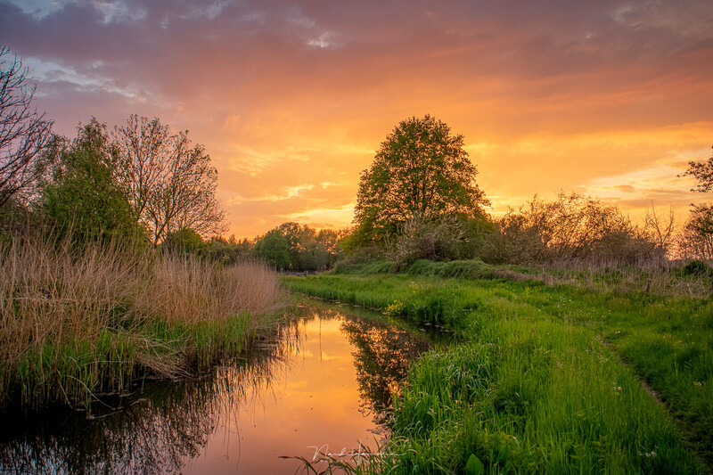 A meandering stream reflects golden sunset light, bordered by lush green meadows and bare trees under an amber sky.