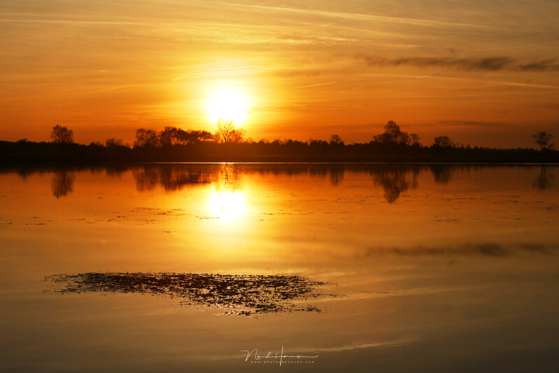 Golden sunrise over a still body of water with trees silhouetted along the horizon.