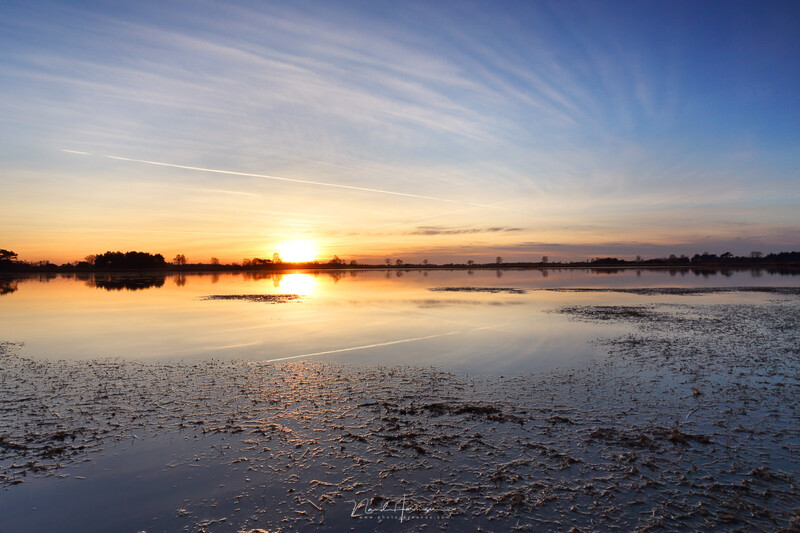 Sunrise over a frozen or partially frozen wetland with mirror-like water reflections and distant treelines.