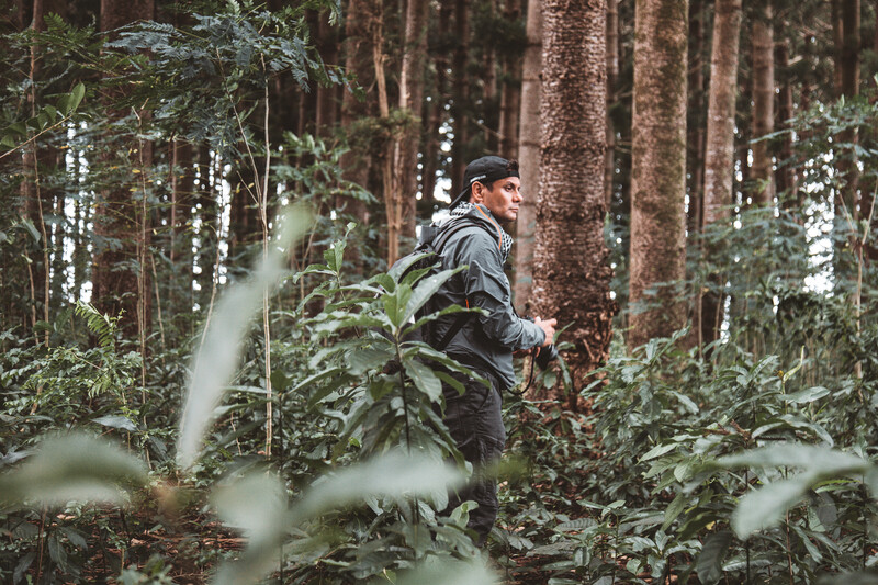 Exploring the local forest