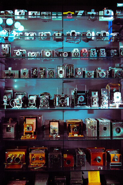 Display shelves filled with vintage cameras and photography equipment arranged by type and color under warm and cool lighting.