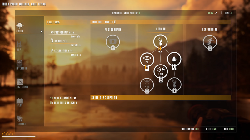Screenshot of a skill tree interface with interconnected circular nodes and a warm, golden-hour background.