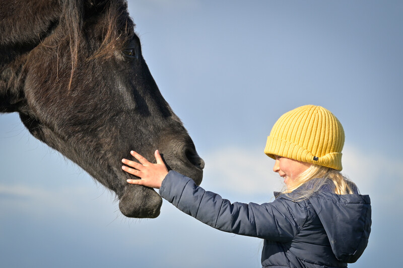 Person in yellow beanie petting a dark horse's face against a clear blue sky.