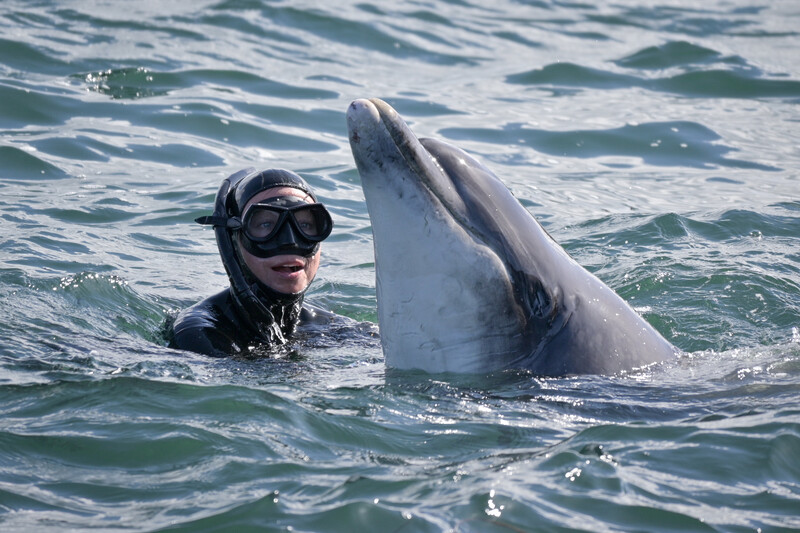 Snorkeler in diving mask swimming alongside a dolphin in open ocean water.