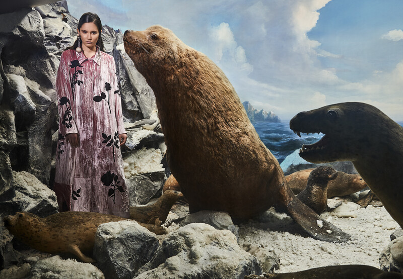 Woman in pink patterned dress standing among rocky coastline with sea lions.